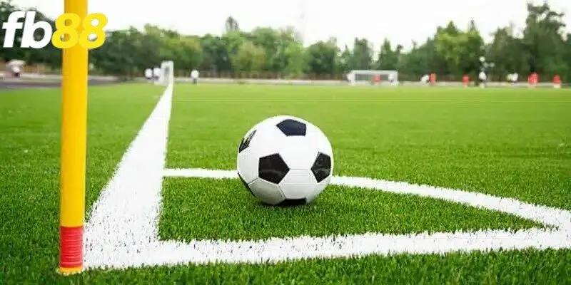 Kèo phạt góc chẵn lẻ là hình thức cược phổ biến trên thị trường